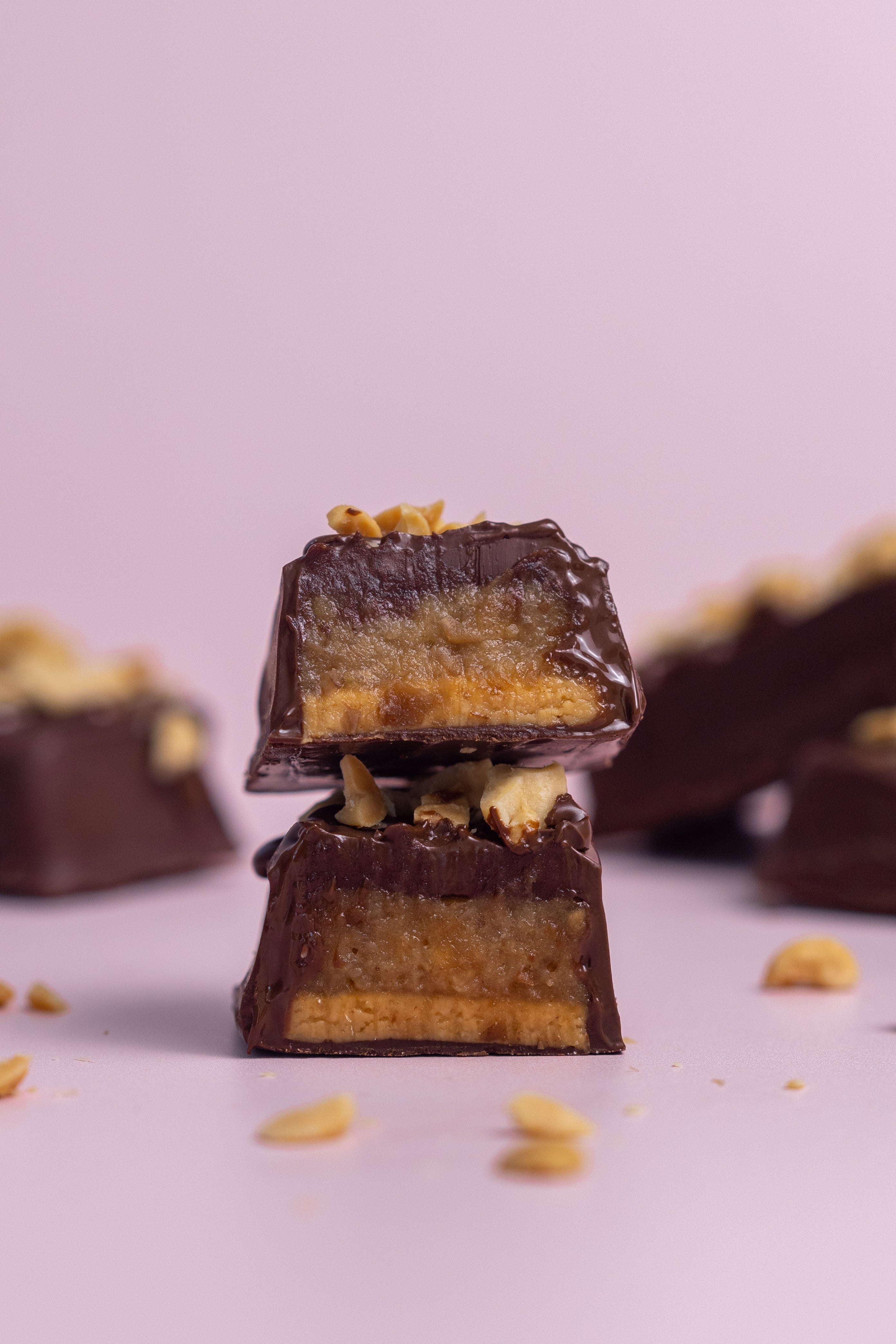Vegan Chocolate Making Ebook